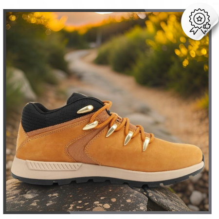 Buty Trekkingowe MĘSKIE Sportowe Turystyczne TIMBERLAND Mocne Lekkie