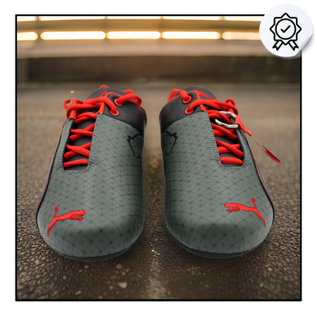 Buty Męskie Sportowe Wygodne Skórzane PUMA F1 FUTURE CAT MINERAL